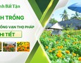Vườn, Ngoại thất