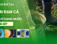 Mua sắm, Tổng Hợp