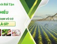 Vườn, Ngoại thất