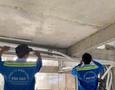 Điện lạnh, Máy, Gia dụng