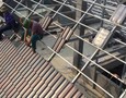 Mua sắm, Tổng Hợp