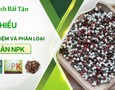 Mua sắm, Tổng Hợp