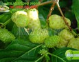 Mua sắm, Tổng Hợp