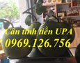 Điện tử, Kỹ thuật số