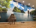 Mua sắm, Tổng Hợp