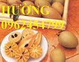 Vườn, Ngoại thất