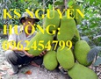 Vườn, Ngoại thất