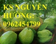 Vườn, Ngoại thất