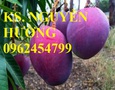 Vườn, Ngoại thất