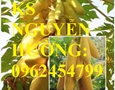 Vườn, Ngoại thất