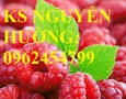 Vườn, Ngoại thất