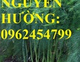 Vườn, Ngoại thất