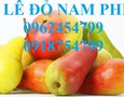 Vườn, Ngoại thất