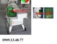 Cơ hội giao thương