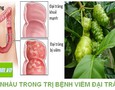 Mua sắm, Tổng Hợp