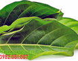 Mua sắm, Tổng Hợp