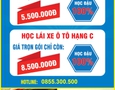 Mua sắm, Tổng Hợp