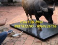 Điện tử, Kỹ thuật số