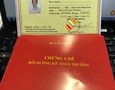 Mua sắm, Tổng Hợp