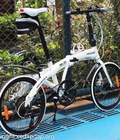 Xe đạp gấp Hachiko HA01- Xe đạp gấp Nhật Bản 