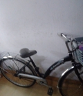 Xe đạp giá rẻ .rất lịch sự 