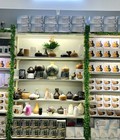 Ánh Dương Store gợi ý những combo tinh dầu giúp kháng khuẩn, thanh lọc không khí, cải thiện sức khỏe...