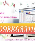 Công cụ rsi-pro 