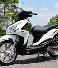 Xe ga Passing 50cc tạo phong cách độc đáo và cá tính cho người dùng 