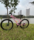 Cho thuê xe đạp Ecopark 