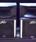 Đôi Loa Peavey SP2A Mỹ 