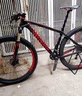 Xe đạp thể thao MTB Carbon Specialized  bánh 29 