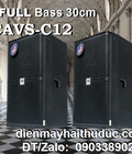 Loa CAVS C12 Loa Full bass 30cm giá đẹp tại Điện Máy Hải Thủ Đức 