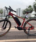 Giant lên mid drive ebike được blueenergy thực hiện 