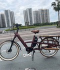 Cập nhật giá trong tháng 7 - CARGO EBIKE 