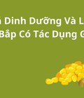 Khám Phá Dinh Dưỡng Và Lợi Ích: Trái Bắp Có Tác Dụng Gì 