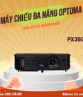 Máy chiếu đa năng Optoma PX390 