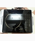 Bếp từ, bếp hồng ngoại Bosch, Electrolux, Chiyoda...xuất xứ Nhật Bản và Đức 