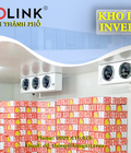 Kho lạnh inverter 