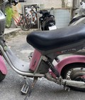 Bán xe điện Nija 
