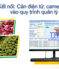 Phần mềm quản lý thu mua kết nối cân điện tử, camera IP 