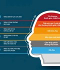 Cường độ của tiếng ồn có nguy cơ gây mất thính lực tâm an quảng ninh 