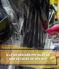 5 lý do bạn nên dán PPF ngay để bảo vệ xe yêu quý 
