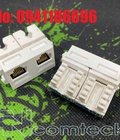 Bộ chuyển đổi RJ45 2 cổng CAT6 CAT6 T568A/8 LAN Ethernet dành cho mặt nạ âm tường âm sàn 