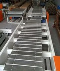 Giải pháp vận chuyển hiệu quả với Băng tải xích 