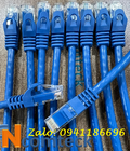 DÂY NHẢY PATCH CORD CAT6 UTP 0.2M mã ACT-LAN-6002BLD lõi đồng 100, 2 đầu đúc, sẵn số lượng 