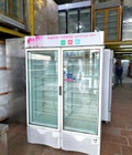 Tủ đông đứng 2 cánh dung tích 1300L nhập khẩu italy mới 91 