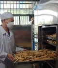 Tủ sấy công nghiệp - Giải pháp toàn diện cho mọi ngành từ Thực phẩm đến Dược phẩm 
