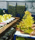 Quốc Định thiết kế và sản xuất các loại giày dép thời trang nam nữ 