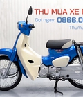 Thu mua xe máy cũ Novo 6, Nozza, Dream, Cub Tại TP.HCM 
