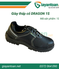 Giày bảo hộ an toàn Dragon 1S 